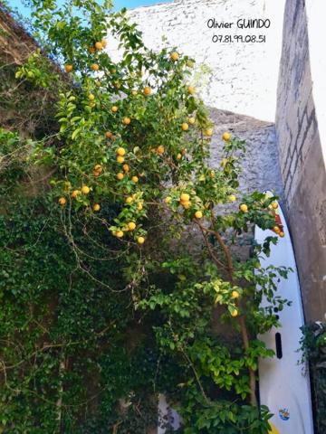 Maison de village 5 pièces de 98 m2 avec jardin et mini piscine