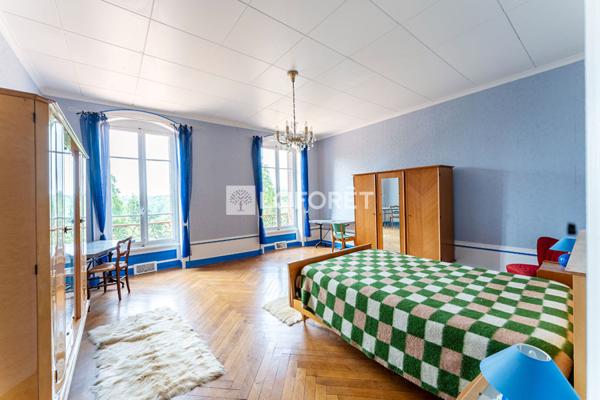 Achat maison Chessy - 15 pièce(s) - 350 m² - 1 236 000 €