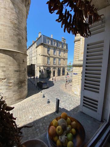 Le patrimoine Bordelais et la Garonne à vos fenêtres