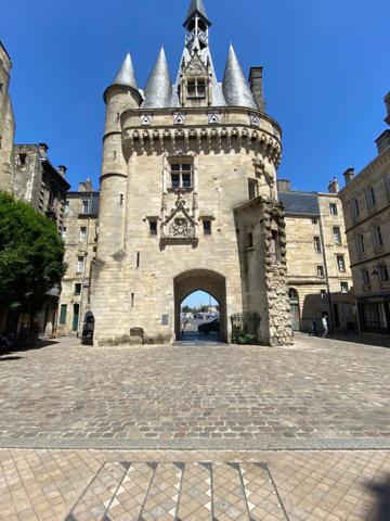Le patrimoine Bordelais et la Garonne à vos fenêtres