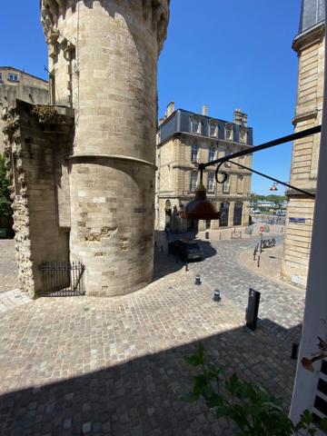 Le patrimoine Bordelais et la Garonne à vos fenêtres
