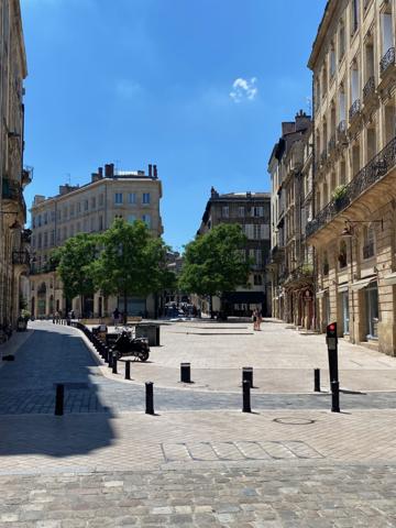 Le patrimoine Bordelais et la Garonne à vos fenêtres