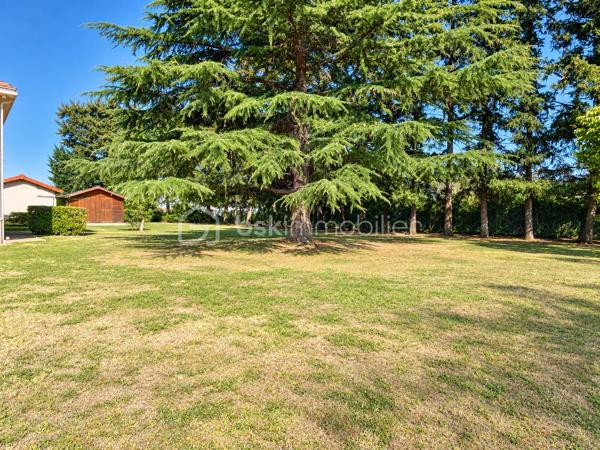 Découvrez cette maison familiale d’environ 165 m² habitables, implantée sur un terrain clos et arboré d’environ 3 400 m², offrant de beaux volumes et surtout de nombreuses possibilités d’évolution.
Au rez-de-chaussée, une grande entrée dessert deux chambres, un salon d’environ 18 m², une salle d’eau et un WC indépendant.
À l’étage, vous trouverez deux chambres, un bureau pouvant faire office de cinquième chambre, une cuisine ainsi qu’une grande pièce de vie ouverte salon/salle à manger donnant directement sur la terrasse. Une salle de bains complète ce niveau.
Les combles aménageables offrent encore un potentiel supplémentaire.
La maison dispose également d’un garage intégré avec espace atelier, accessible depuis l’habitation, ainsi que d’une cave.
À l’extérieur, vous profiterez d’un terrain clos et arboré accueillant un espace loisirs avec piscine, cuisine d’été, terrain de pétanque et dépendance.
Un emplacement particulièrement intéressant : la propriété bénéficie d’un accès rapide à l’autoroute, tout en étant préservée de ses nuisances. Cette proximité constitue un véritable avantage pour les déplacements quotidiens mais également dans le cadre d’un projet professionnel ou d’un éventuel changement de destination.
Autre atout majeur : l’intégralité de la parcelle d’environ 3 400 m² est située en zone urbaine, ouvrant de nombreuses perspectives, sous réserve des règles d’urbanisme et des autorisations nécessaires : construction(s) supplémentaire(s), activité médicale ou paramédicale, professions libérales, bureaux, restauration ou autres projets compatibles avec le PLU.
Une propriété rare par la combinaison de ses 165 m² habitables, son grand terrain, ses équipements et son potentiel de développement, aussi adaptée à un projet familial qu’à un projet professionnel.