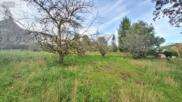 Achat - Terrain à bâtir Nullemont 76390 986 m 2