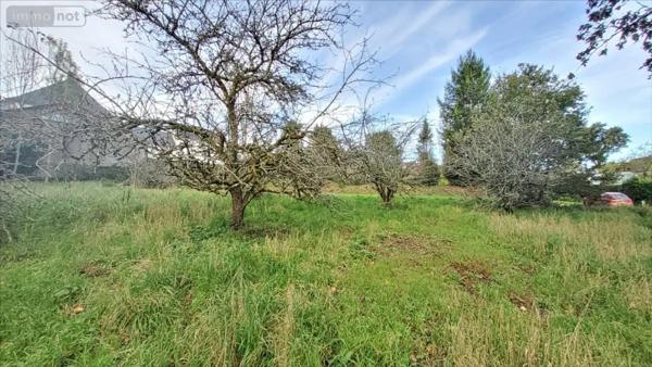 Achat - Terrain à bâtir Nullemont 76390 986 m 2