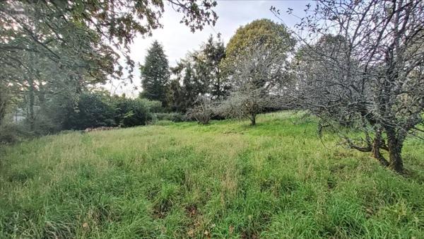 Achat - Terrain à bâtir Nullemont 76390 986 m 2