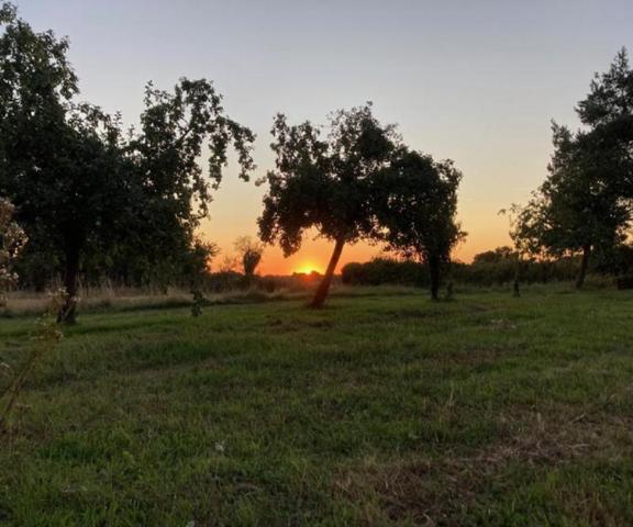 Terrain constructible Ploërmel