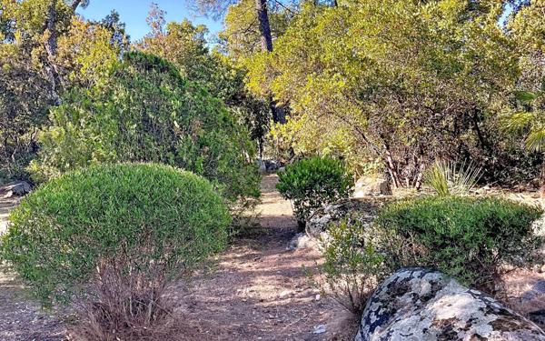 Terrain à vendre    Zonza