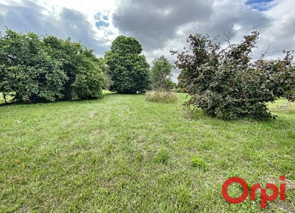 Terrain à vendre    2 241 m2 Saint-Amand-Montrond