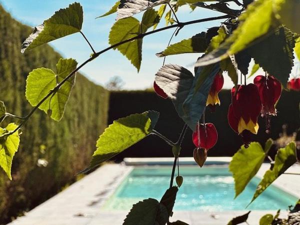 Maison contemporaine Dax 168 m²