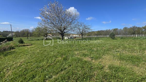 Belle maison en pierre avec piscine, véranda et dépendances sur la commune de Saint Bonnet Sur Gironde avec vue sur l'estuaire.

Cette maison de 172m2 comprend au rez-de-chaussée une entrée en pierre donnant sur 2 chambres, une buanderie (avec accès à la première dépendance) et de l'autre coté, une salle à manger, une salle d'eau, un cellier, un salon et une belle véranda avec cuisine dinatoire. 
A l'étage, vous trouverez une grande mezzanine et une suite parentale.

La véranda donne sur une belle terrasse avec sa piscine creusée. Derrière, un batiment vous permettra de créer une cuisine d'été. 

Coté dépendances, un double garage de 51m2 avec une hauteur parfaite pour un camping car et un atelier de 44m2 vous permettront de donner libre cours à vos envies.

Le chauffage de la maison est assuré par une cheminée à insert, une PAC air air et des radiateurs électriques.