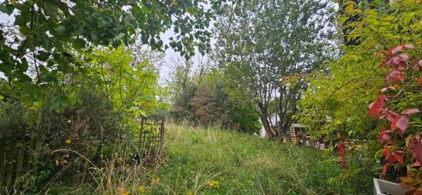 Maison pour activité professionnelle