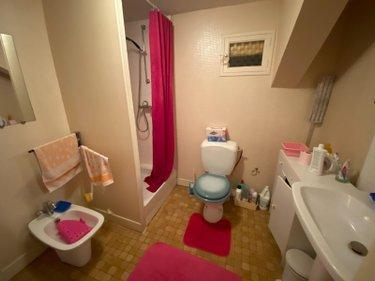 Maison à vendre à Châtillon-sur-Indre dans l'Indre (36700), ref : 1052641