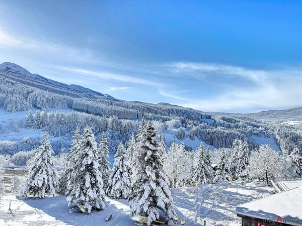 Appartement à VILLARD-DE-LANS, 38250 - 2 pièces 36m²