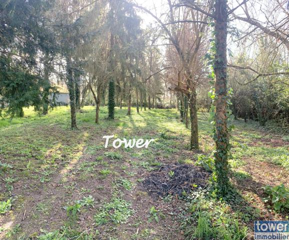 CRESSE 17160 - Maison 100 m² avec dépendances 500 m² sur un parc de 3000 m² env.