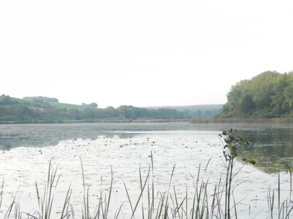 Dpt Ardennes (08), à vendre LE CHESNE maison à rénover sur terrain de 900m² environ