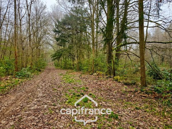 Là où l’eau, la pierre et la forêt se rejoignent, un domaine d’exception s’offre à vous : 9 hectares de nature préservée et de mémoire vivante, à transmettre et à faire revivre.