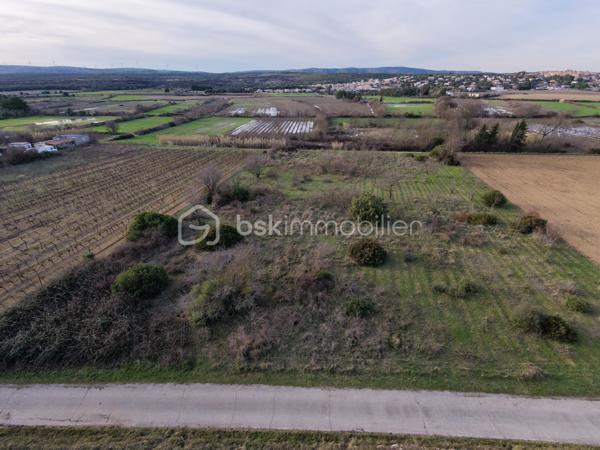 Terrain agricole de 2 422 m²