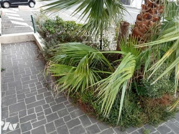 Appartement T2 de 35,90m² avec terrasse de 13,70m² et parking privatif