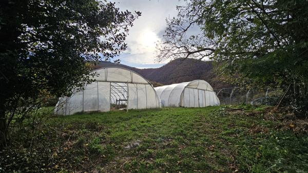 Vente / Corps de ferme