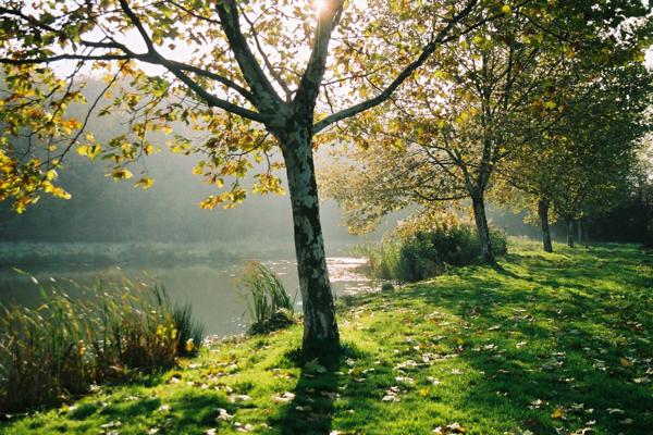 Genay (69730) Maison 4 chambres récente de plain-pied avec piscine et garage à Civrieux (01390)