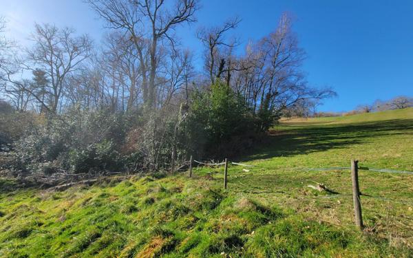 Terrain à vendre    Jurançon