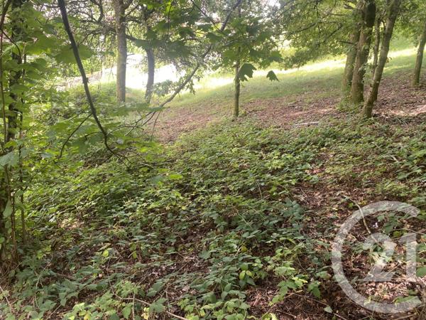 Terrain à vendre  1526 m2 REMIREMONT - 88