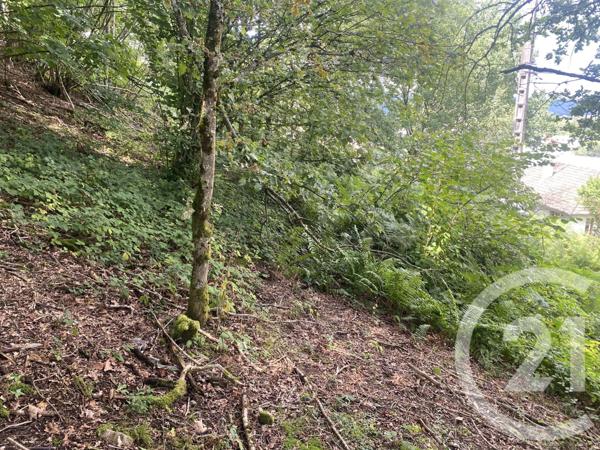 Terrain à vendre  1526 m2 REMIREMONT - 88