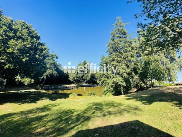 Terrain - 8000 m² Exclusivité efficity