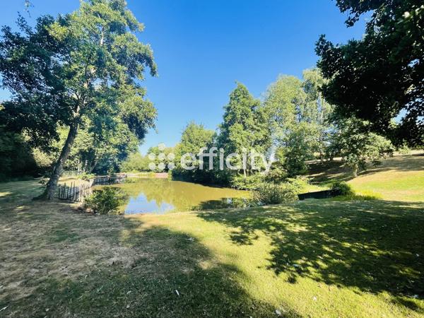 Terrain - 8000 m² Exclusivité efficity