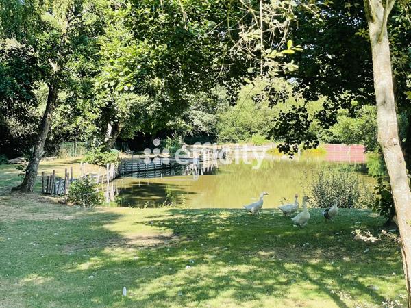 Terrain - 8000 m² Exclusivité efficity