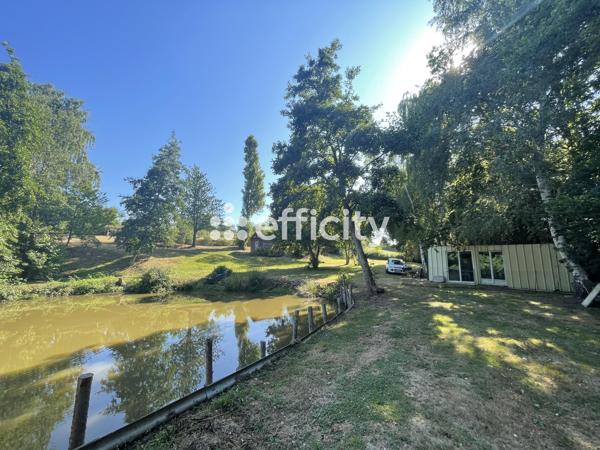 Terrain - 8000 m² Exclusivité efficity