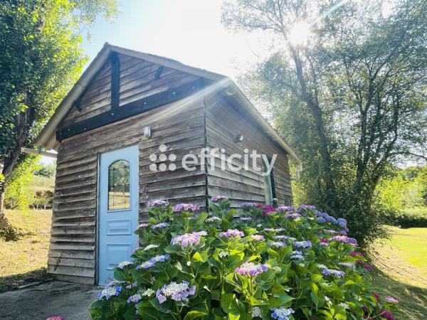 Terrain - 8000 m² Exclusivité efficity