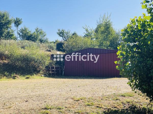 Terrain - 8000 m² Exclusivité efficity