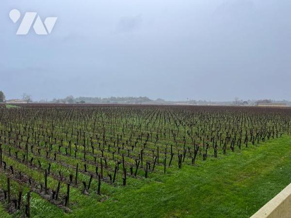 Propriété viticole à Vendre AOC Saint-Émilion Grand Cru (33330) en Gironde (33)

Nous vous pr...