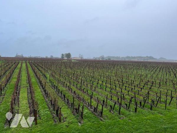 Propriété viticole à Vendre AOC Saint-Émilion Grand Cru (33330) en Gironde (33)

Nous vous pr...