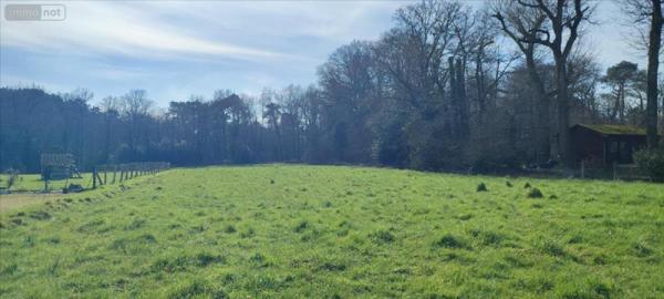 Terrain à Batir à vendre à Allaire dans le Morbihan (56350), ref : 143/194T