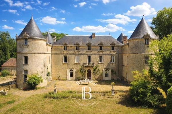 La Châtaigneraie, Château 9 Chambres -  738 m² à vendre