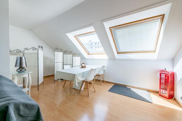 Longjumeau (91160) Longjumeau – Duplex – Dernier étage