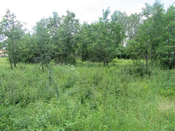 Terrain à vendre |  Montdoumerc |  1046 m²