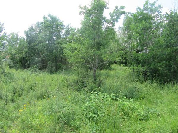 Terrain à vendre |  Montdoumerc |  1046 m²