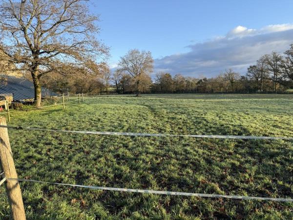 Maison à vendre à Surzur dans le Morbihan (56450), ref : 56084-445