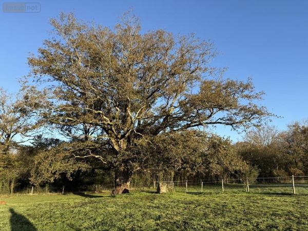 Maison à vendre à Surzur dans le Morbihan (56450), ref : 56084-445