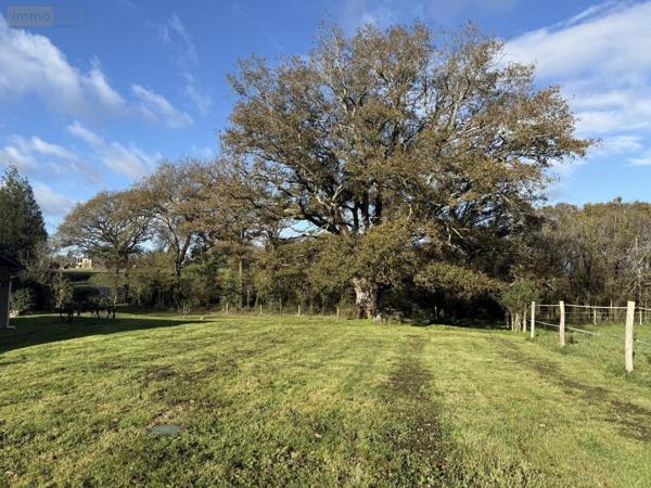 Maison à vendre à Surzur dans le Morbihan (56450), ref : 56084-445