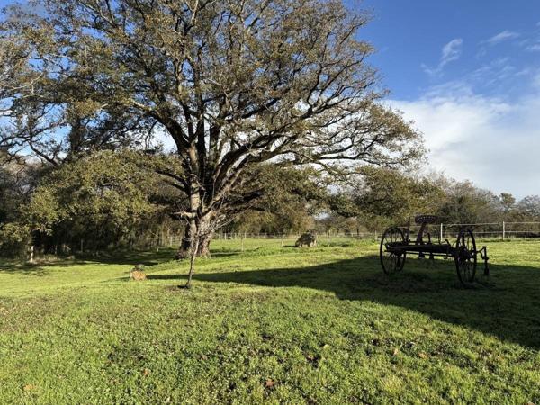 Maison à vendre à Surzur dans le Morbihan (56450), ref : 56084-445