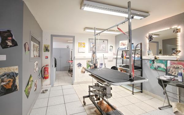 Immeuble à vendre    9 pièces • 200 m2 Aurillac