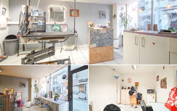 Immeuble à vendre    9 pièces • 200 m2 Aurillac