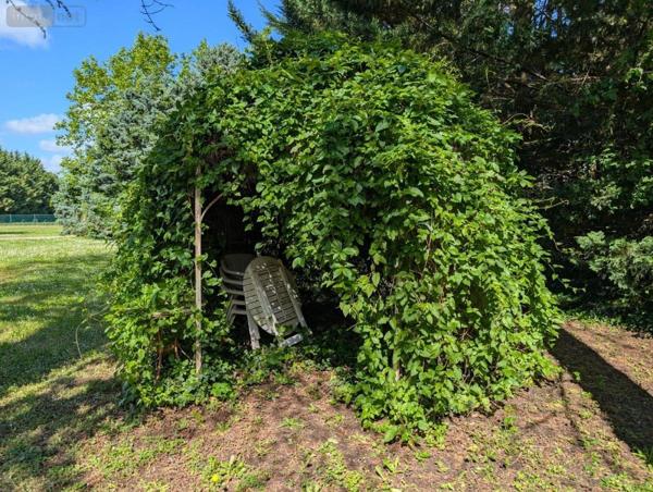 Maison à vendre à Broût-Vernet dans l'Allier (03110), ref : 03019-151