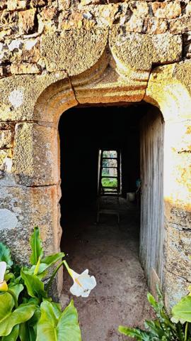 L'Âme de la Bretagne : Penty de Charme entre Terre et Mer