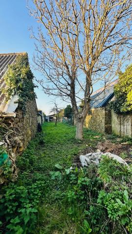 L'Âme de la Bretagne : Penty de Charme entre Terre et Mer